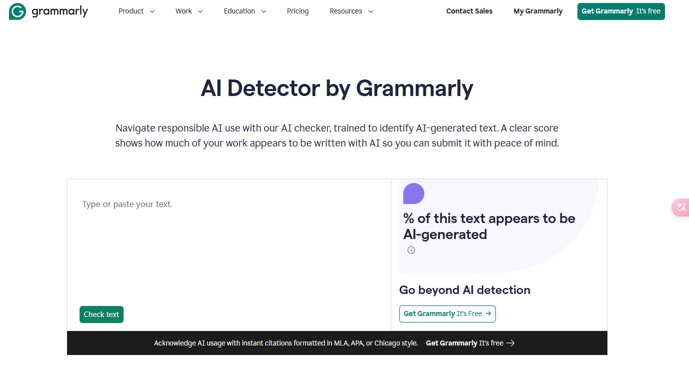 grammarly ai checker