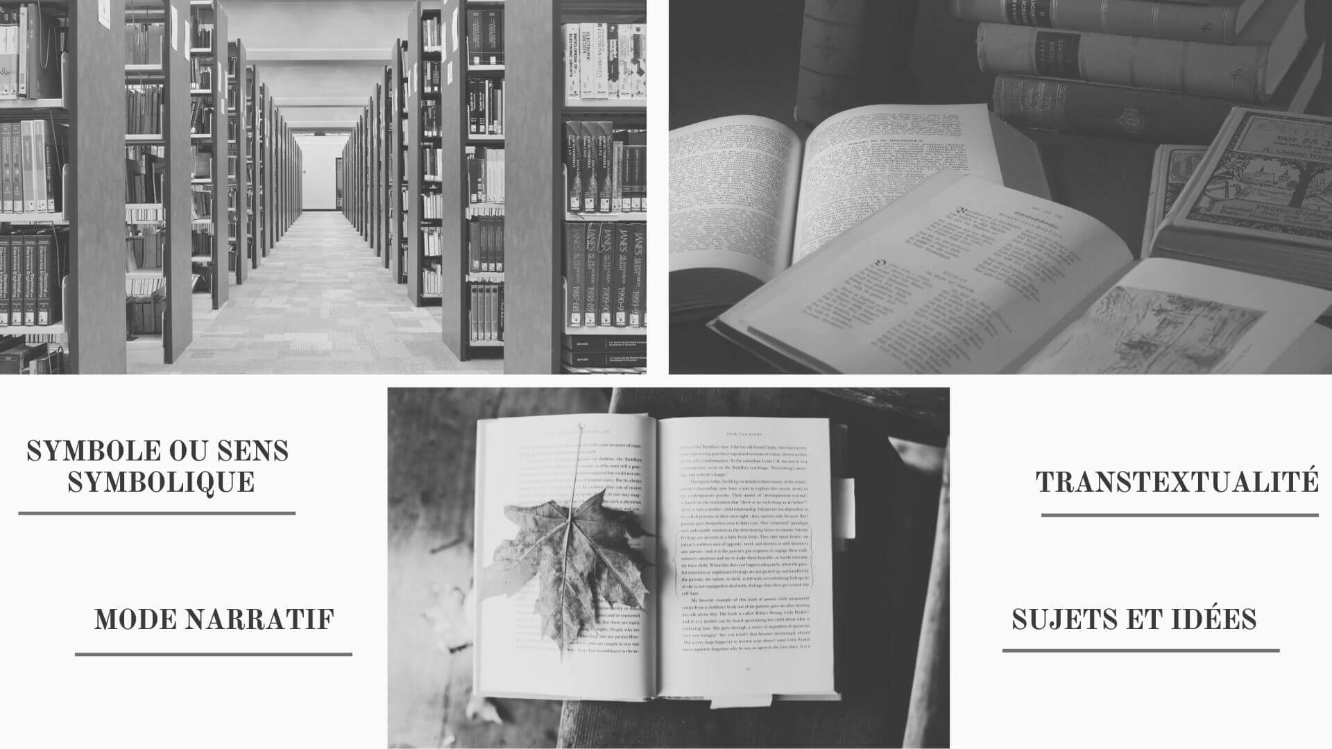 L’introduction du livre