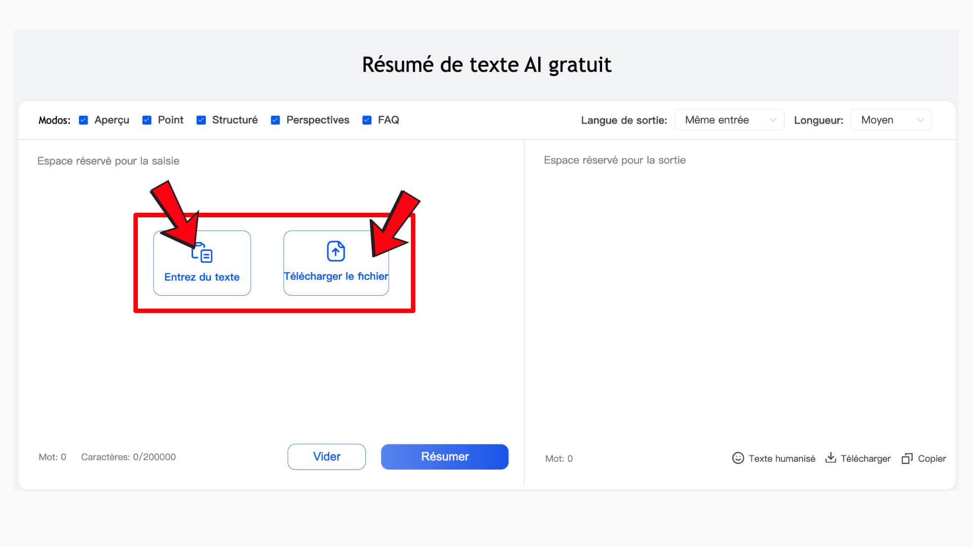 Fonctionnalités de l’résumeur AI 
