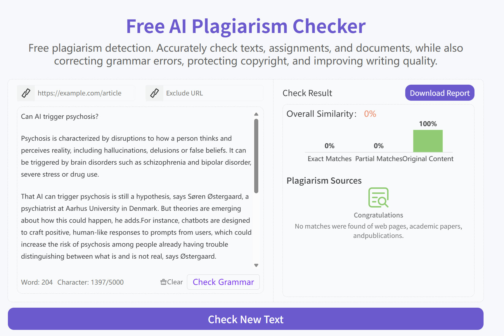 Main Functions of an AI Detector