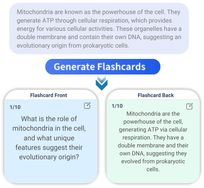 Flashcard Maker Introduction