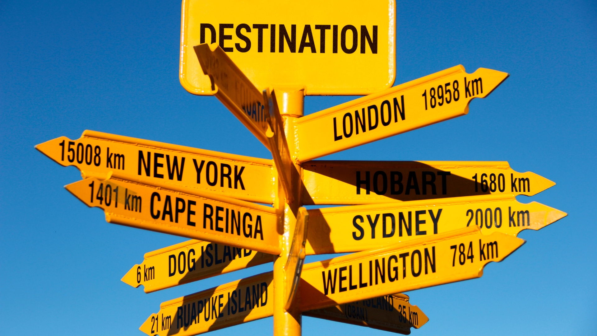 Travel & Translation