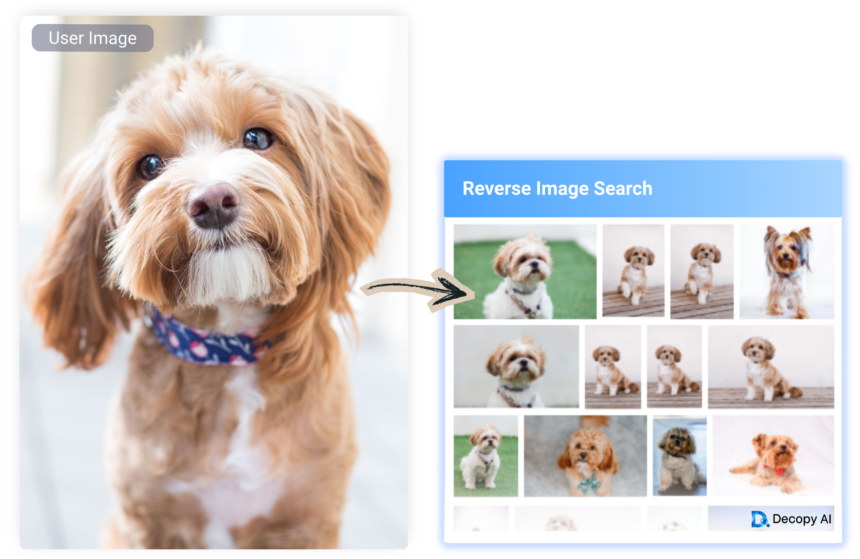 precise reverse image search