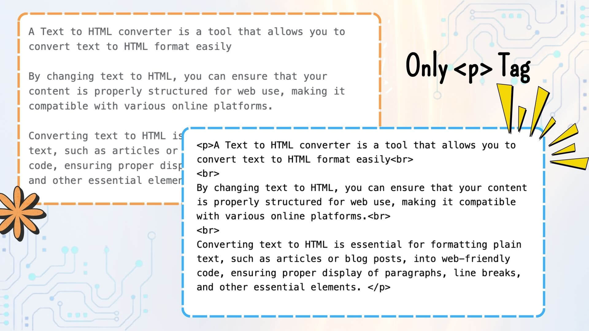 Only <p> Tag Output