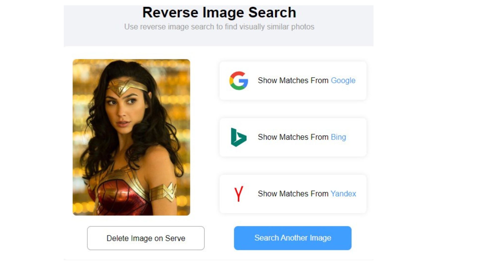 Reverse Image Search